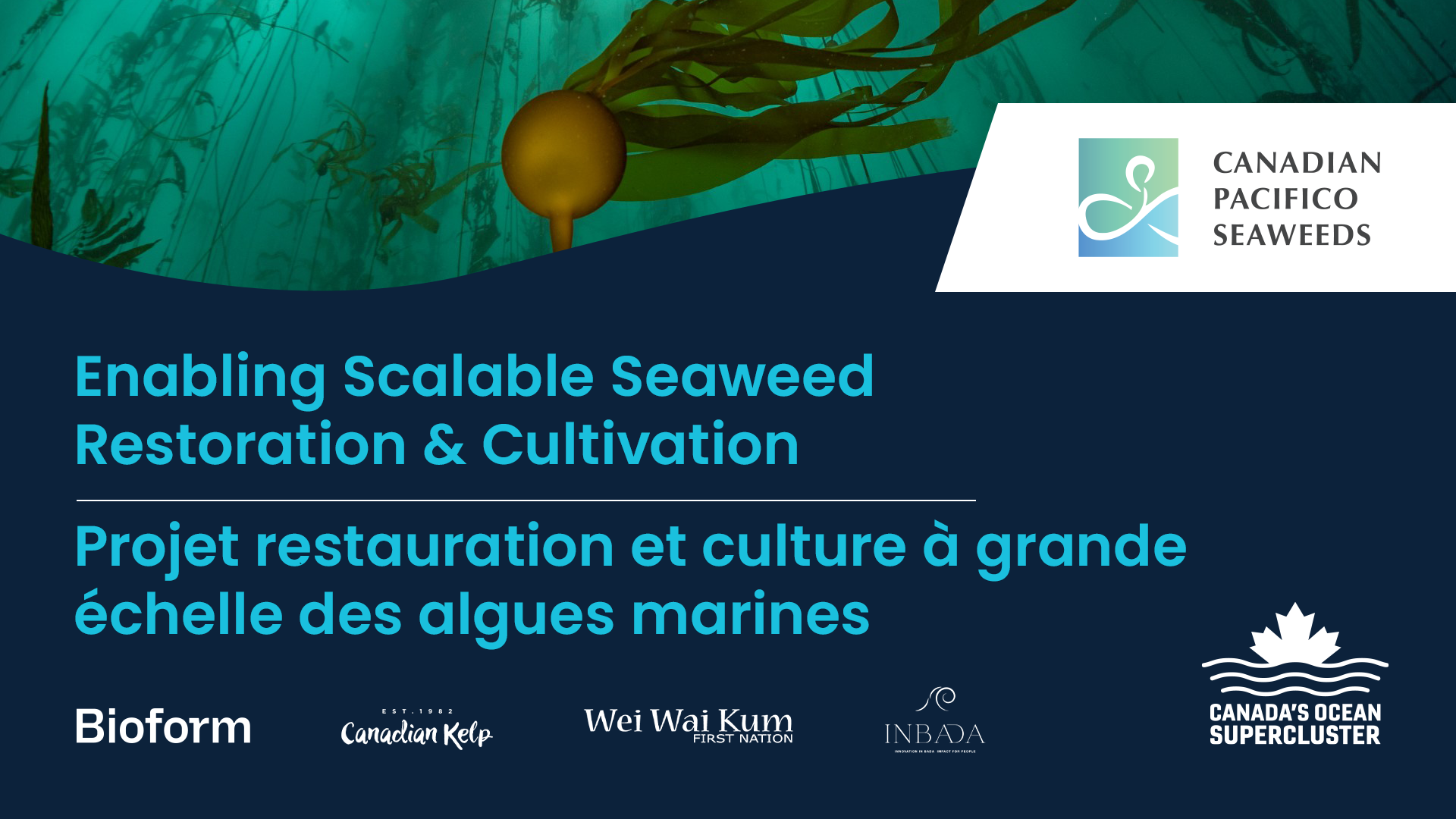 Canada’s Ocean Supercluster Announces $15.5M Revolutionary Seaweed Restoration & Cultivation Project