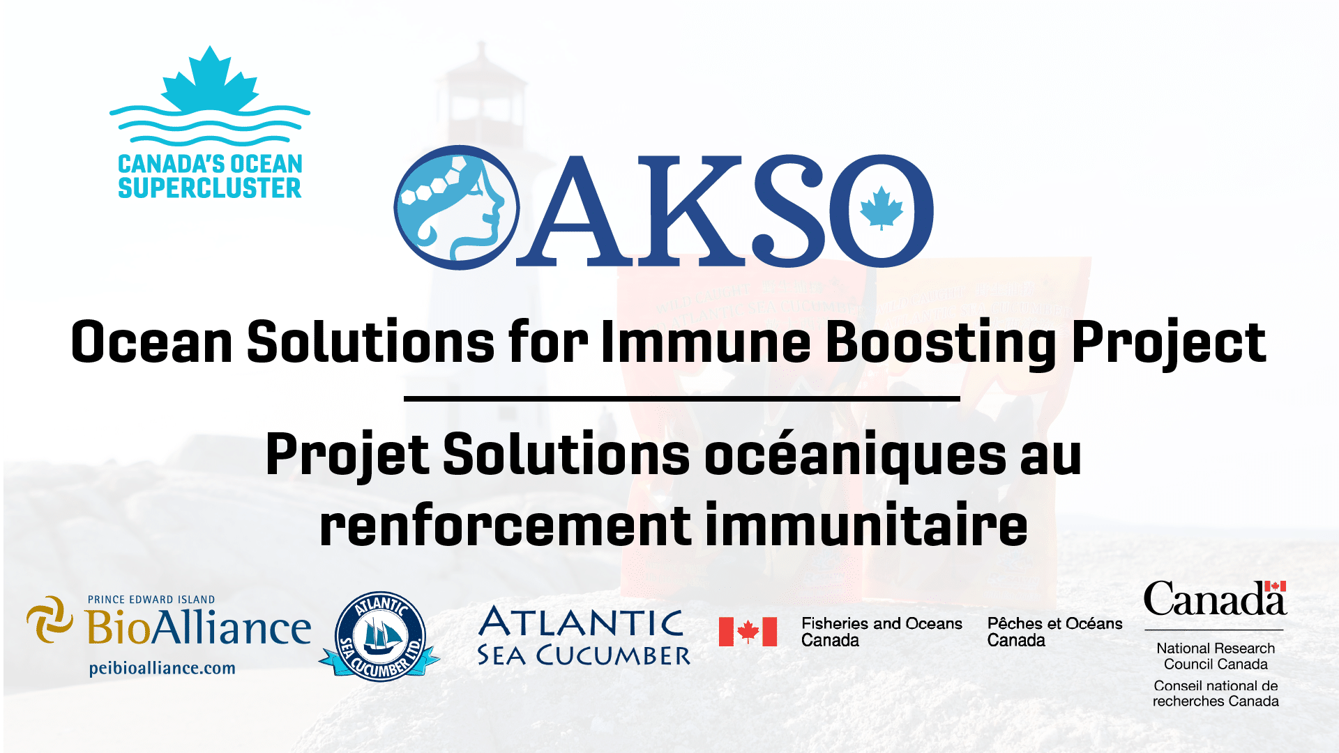 This Nova Scotia-led project is using Atlantic sea cucumber to develop and launch a clinically proven novel human health product with benefits in warding off infectious diseases.