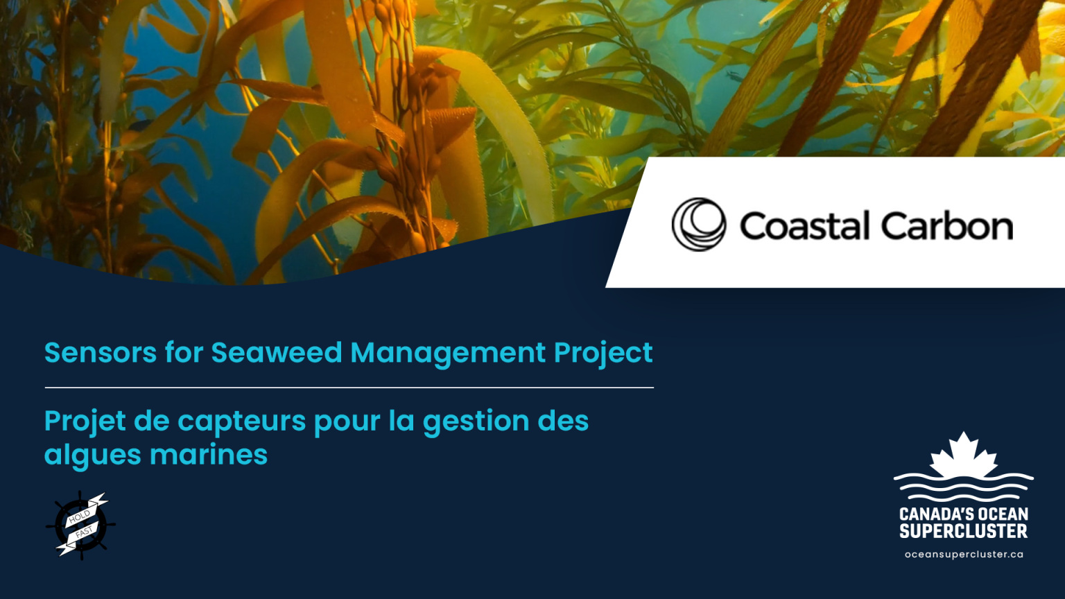 Canada’s Ocean Supercluster $1.6M AI-Driven Sensors for Seaweed Measurement Project