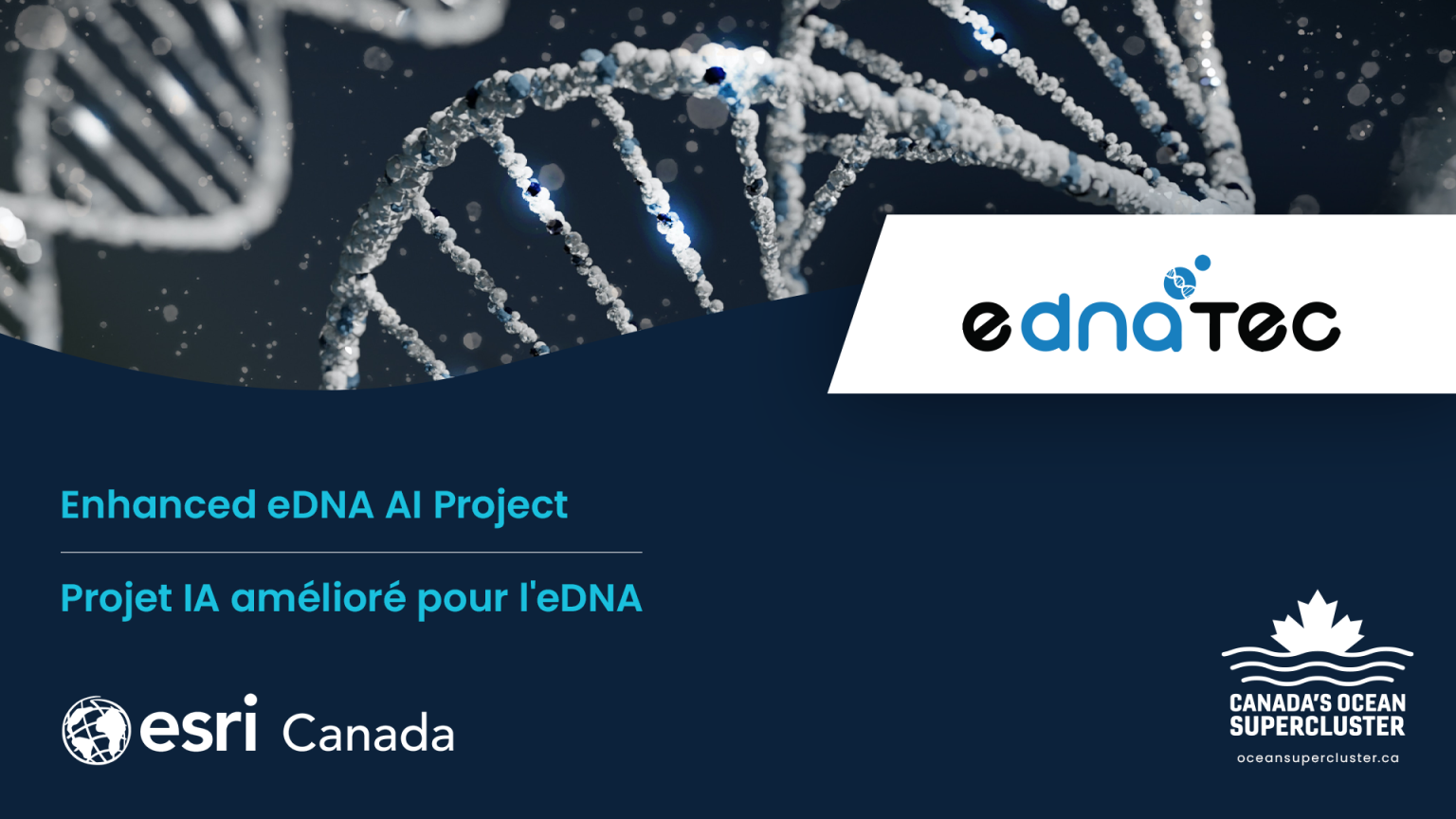 Canada’s Ocean Supercluster Announces Enhancing Environmental DNA Through AI Project